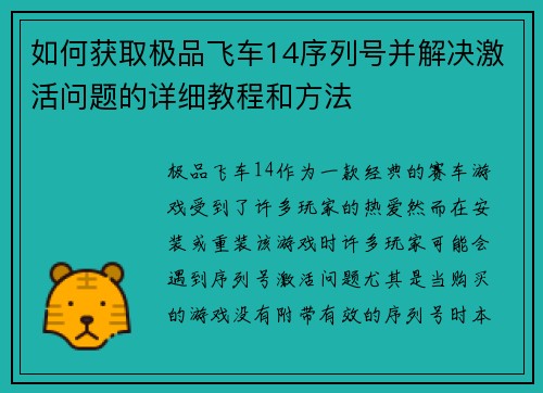 如何获取极品飞车14序列号并解决激活问题的详细教程和方法